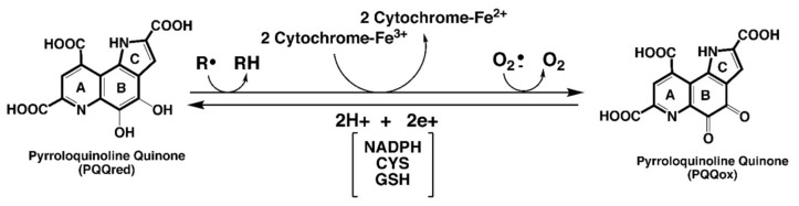 包含图片、插图等的外部文件。
对象名称为 biomolecules-11-01441-g001.jpg