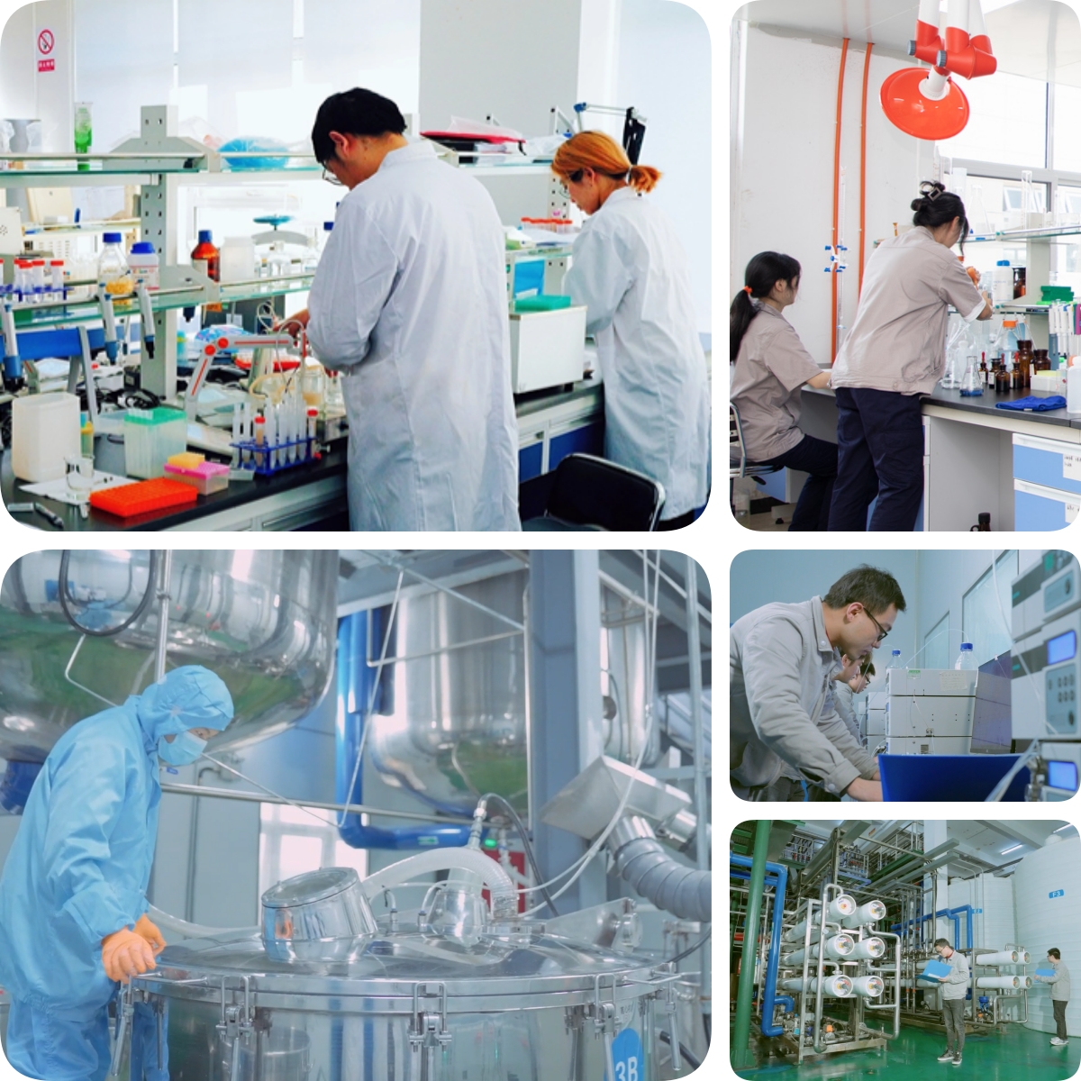 谷胱甘肽是怎么生产的？