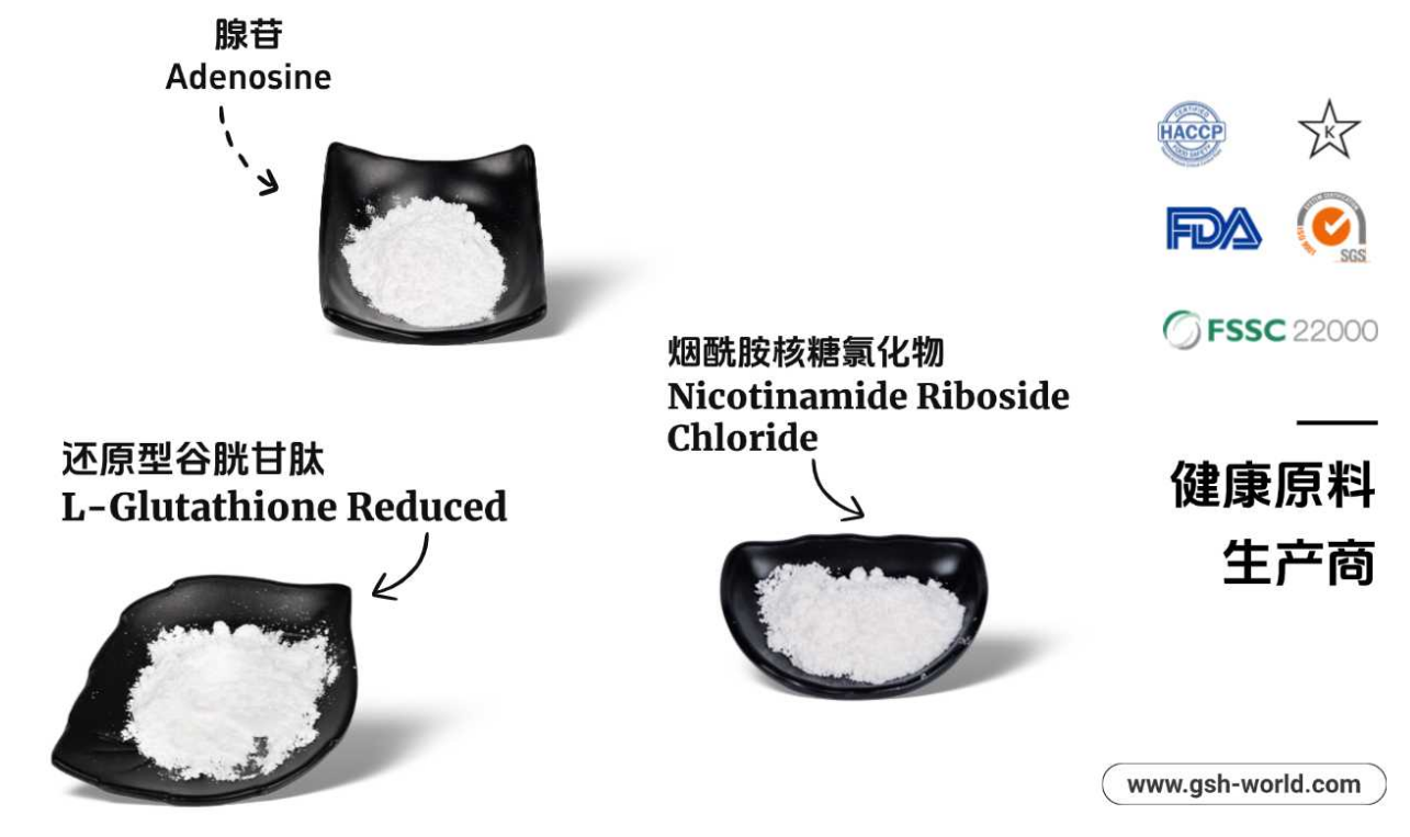 有哪些原料被广泛应用？