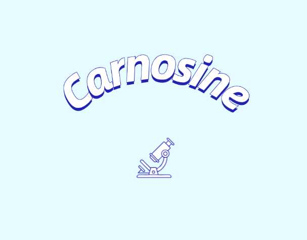 肌肽补充剂或可改善年轻群体认知