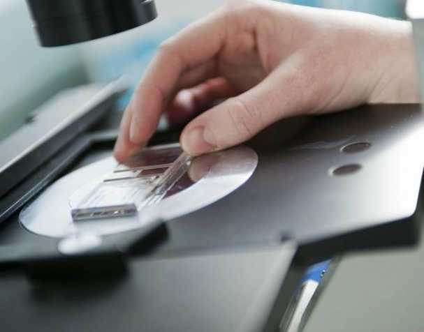 提高免疫力 提高免疫力