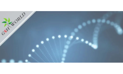 行业关注 - 胞磷胆碱?；ご竽缘?大好处