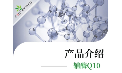产品介绍 - 辅酶Q10——备受追捧的心脏?；ど?></a>
	</div>

		<h4>
			<a href=