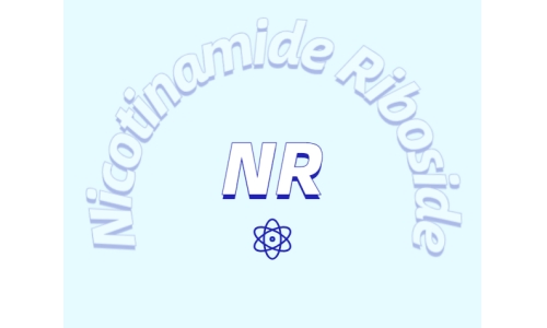 烟酰胺核糖氯化物是如何增加NDA+水平的？