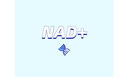 NAD +皮肤抗衰老的新方法