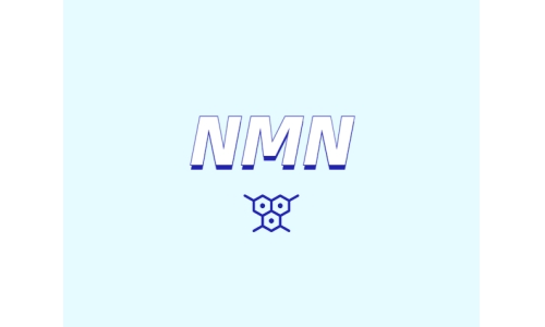 NMN在人工膜中的渗透性表现