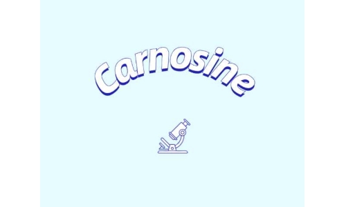 肌肽补充剂或可改善年轻群体认知